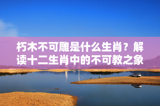 朽木不可雕是什么生肖？解读十二生肖中的不可教之象 朽木不可雕是什么生肖