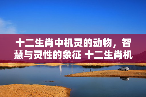 十二生肖中机灵的动物，智慧与灵性的象征 十二生肖机灵的动物