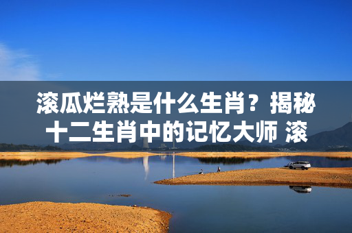 滚瓜烂熟是什么生肖？揭秘十二生肖中的记忆大师 滚瓜烂熟是什么生肖