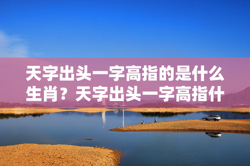 天字出头一字高指的是什么生肖？天字出头一字高指什么生肖