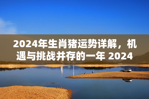 2024年生肖猪运势详解，机遇与挑战并存的一年 2024运势生肖运势猪