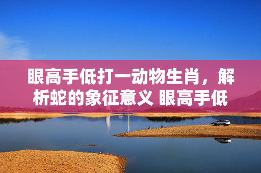 眼高手低打一动物生肖，解析蛇的象征意义 眼高手低打一动物生肖