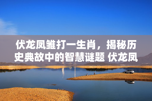 伏龙凤雏打一生肖，揭秘历史典故中的智慧谜题 伏龙凤雏打一生肖