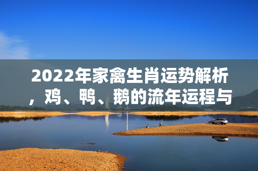 2022年家禽生肖运势解析，鸡、鸭、鹅的流年运程与风水指南 家禽生肖运势2022