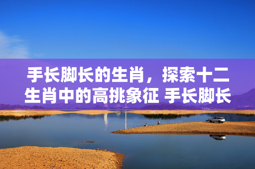 手长脚长的生肖，探索十二生肖中的高挑象征 手长脚长的生肖