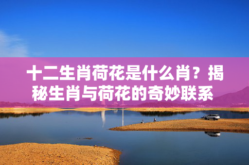 十二生肖荷花是什么肖？揭秘生肖与荷花的奇妙联系 十二生肖荷花是什么肖