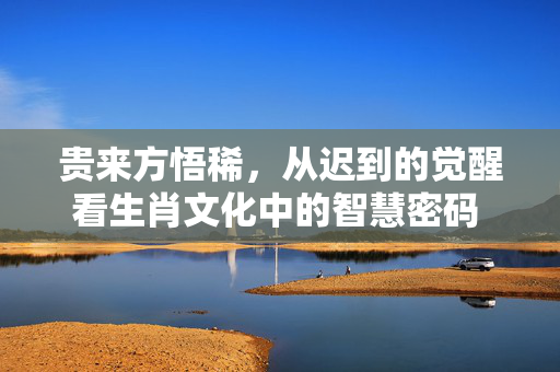 贵来方悟稀，从迟到的觉醒看生肖文化中的智慧密码 贵来方悟稀打一生肖