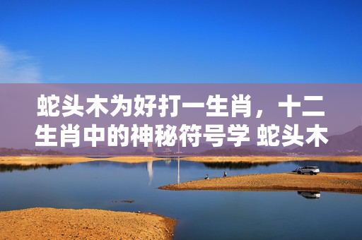 蛇头木为好打一生肖，十二生肖中的神秘符号学 蛇头木为好打一生肖