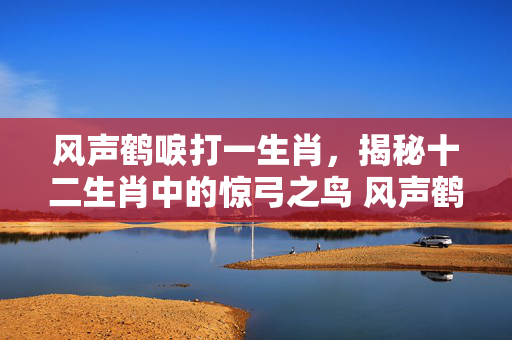 风声鹤唳打一生肖，揭秘十二生肖中的惊弓之鸟 风声鹤唳打一生肖