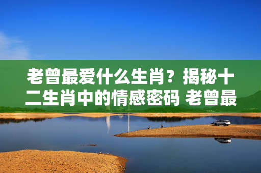 老曾最爱什么生肖？揭秘十二生肖中的情感密码 老曾最爱什么生肖
