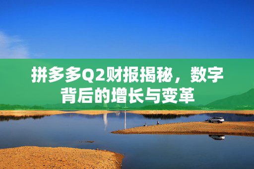 拼多多Q2财报揭秘，数字背后的增长与变革