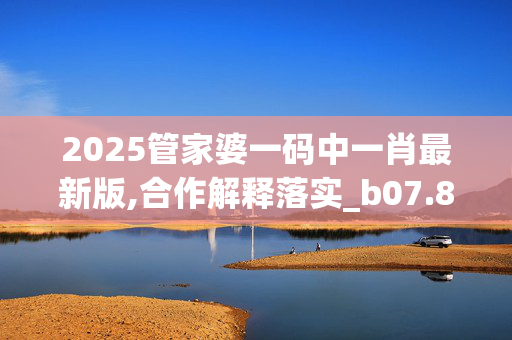 2025管家婆一码中一肖最新版,合作解释落实_b07.82.520250331更新