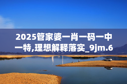 2025管家婆一肖一码一中一特,理想解释落实_9jm.69.2520250331更新