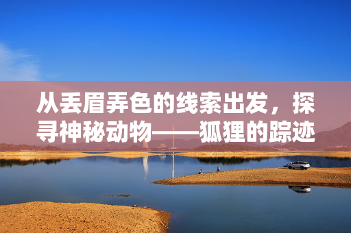 从丢眉弄色的线索出发，探寻神秘动物——狐狸的踪迹
