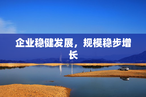 企业稳健发展，规模稳步增长