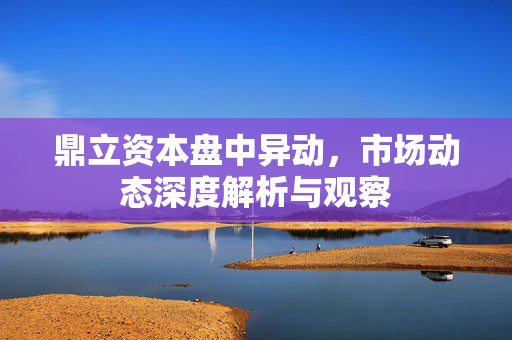 鼎立资本盘中异动，市场动态深度解析与观察