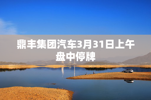 鼎丰集团汽车3月31日上午盘中停牌