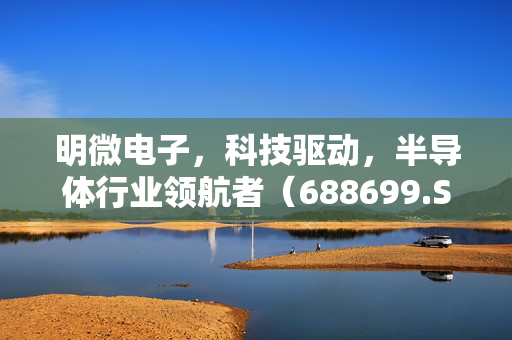 明微电子，科技驱动，半导体行业领航者（688699.SH）