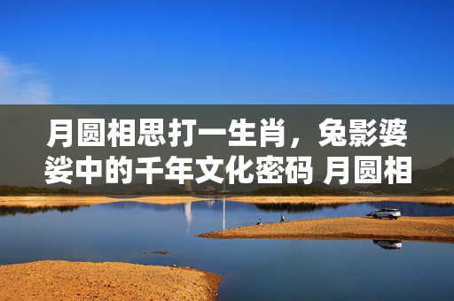 月圆相思打一生肖，兔影婆娑中的千年文化密码 月圆相思打一生肖