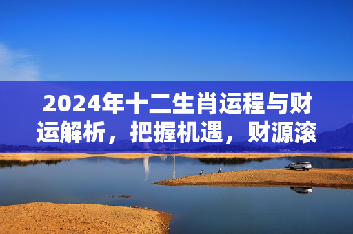 2024年十二生肖运程与财运解析，把握机遇，财源滚滚 十二生肖运程与财运