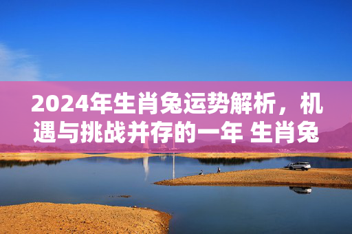 2024年生肖兔运势解析，机遇与挑战并存的一年 生肖兔子2024运势