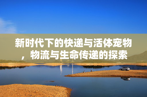 新时代下的快递与活体宠物，物流与生命传递的探索