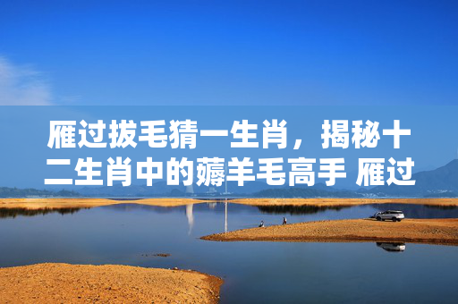 雁过拔毛猜一生肖，揭秘十二生肖中的薅羊毛高手 雁过拔毛猜一生肖