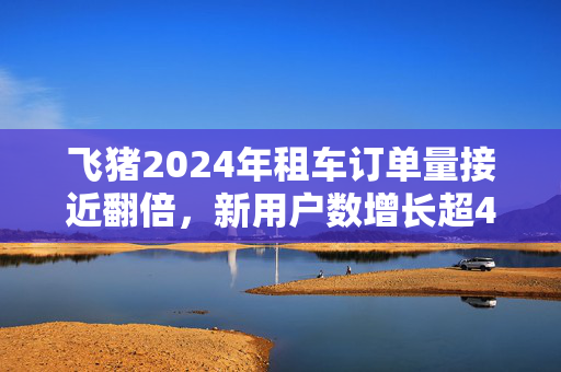 飞猪2024年租车订单量接近翻倍，新用户数增长超40%