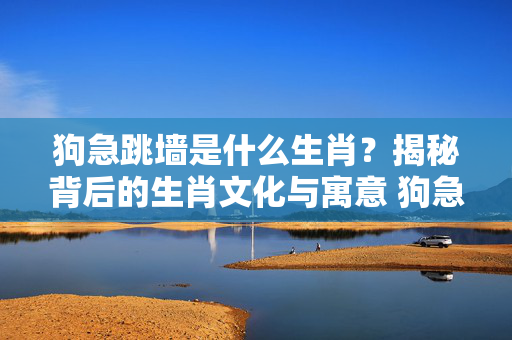 狗急跳墙是什么生肖？揭秘背后的生肖文化与寓意 狗急跳墙是什么生肖