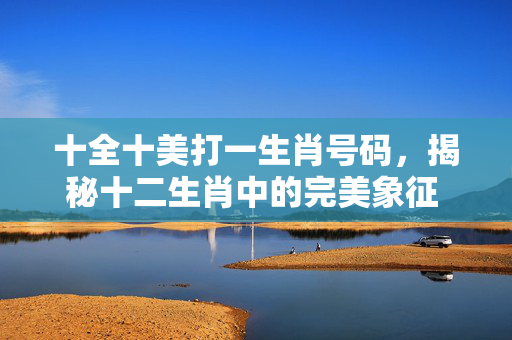 十全十美打一生肖号码，揭秘十二生肖中的完美象征 十全十美打一生肖号码