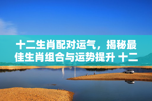 十二生肖配对运气，揭秘最佳生肖组合与运势提升 十二生肖配对运气
