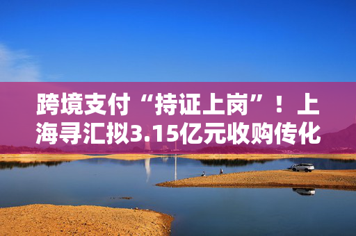 跨境支付“持证上岗”！上海寻汇拟3.15亿元收购传化支付，多家跨境支付服务商布局境内支付牌照