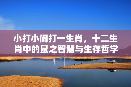 小打小闹打一生肖，十二生肖中的鼠之智慧与生存哲学 小打小闹打一生肖