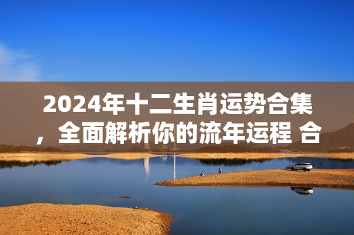 2024年十二生肖运势合集，全面解析你的流年运程 合集生肖运势