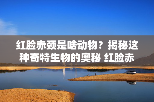 红脸赤颈是啥动物？揭秘这种奇特生物的奥秘 红脸赤颈是啥动物