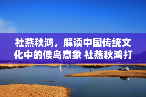 社燕秋鸿，解读中国传统文化中的候鸟意象 社燕秋鸿打一动物