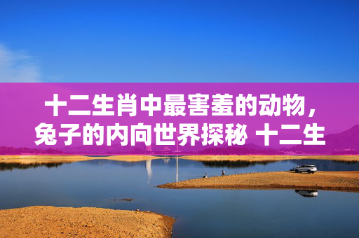 十二生肖中最害羞的动物，兔子的内向世界探秘 十二生肖最害羞的动物