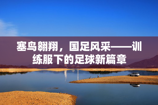 塞鸟翱翔，国足风采——训练服下的足球新篇章