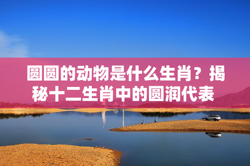 圆圆的动物是什么生肖？揭秘十二生肖中的圆润代表 圆圆的动物是什么生肖