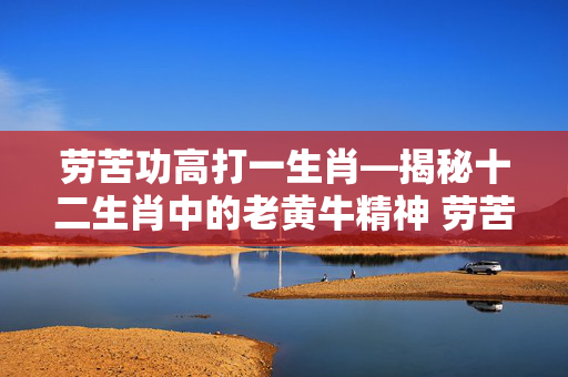 劳苦功高打一生肖—揭秘十二生肖中的老黄牛精神 劳苦功高打一生肖
