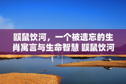 鼷鼠饮河，一个被遗忘的生肖寓言与生命智慧 鼷鼠饮河打一生肖