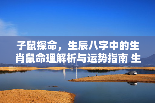 子鼠探命，生辰八字中的生肖鼠命理解析与运势指南 生辰八字鼠和