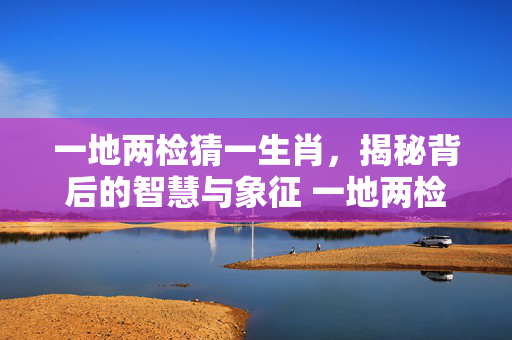 一地两检猜一生肖，揭秘背后的智慧与象征 一地两检猜一生肖
