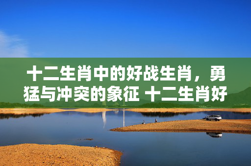 十二生肖中的好战生肖，勇猛与冲突的象征 十二生肖好战的生肖