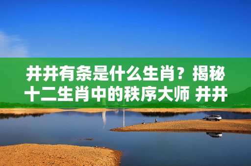 井井有条是什么生肖？揭秘十二生肖中的秩序大师 井井有条是什么生肖