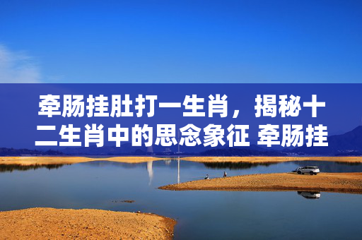 牵肠挂肚打一生肖，揭秘十二生肖中的思念象征 牵肠挂肚打一生肖