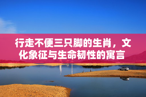 行走不便三只脚的生肖，文化象征与生命韧性的寓言 行走不便三只脚的生肖