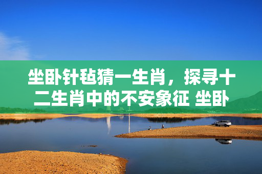 坐卧针毡猜一生肖，探寻十二生肖中的不安象征 坐卧针毡猜一生肖