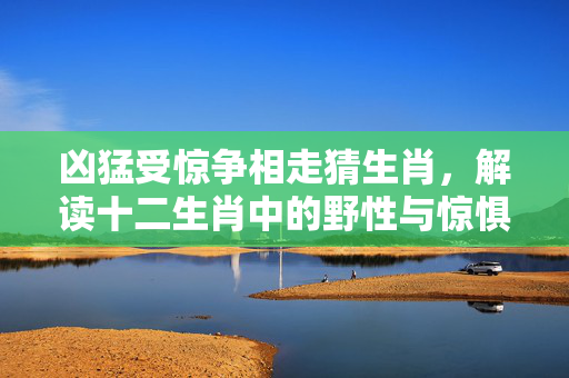 凶猛受惊争相走猜生肖，解读十二生肖中的野性与惊惧 凶猛受惊争相走猜生肖