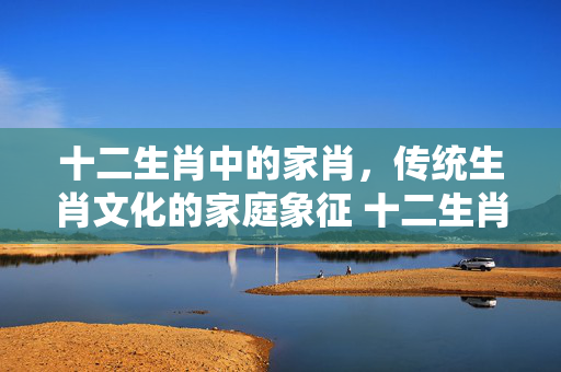 十二生肖中的家肖，传统生肖文化的家庭象征 十二生肖什么是家肖